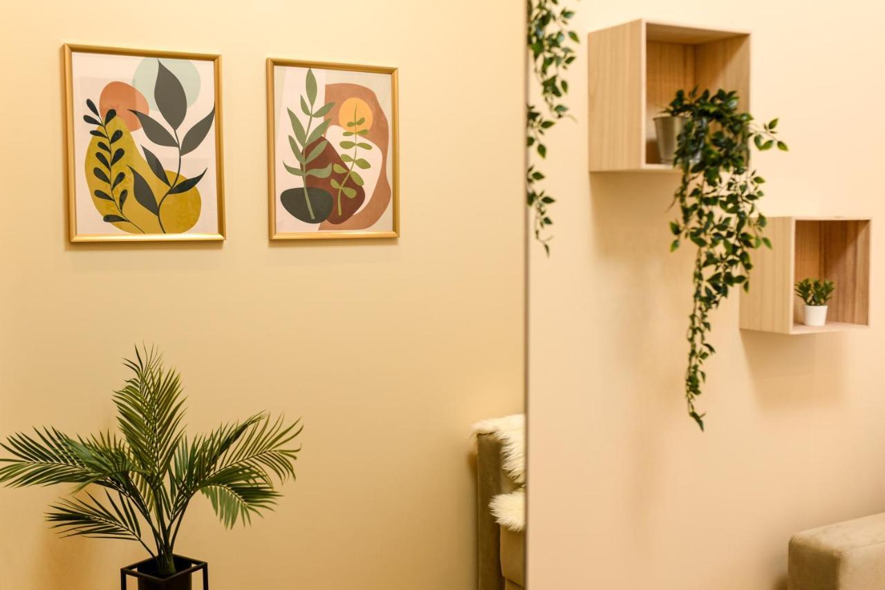Green Leafy Brasov - Ideal 2 Bedroom Apartment Buitenkant foto