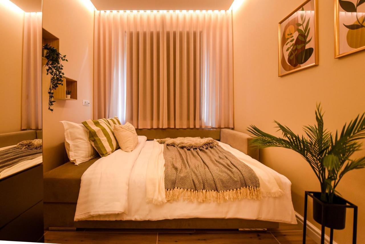 Green Leafy Brasov - Ideal 2 Bedroom Apartment Buitenkant foto