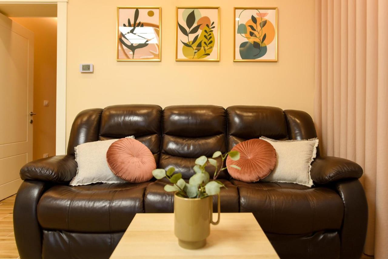 Green Leafy Brasov - Ideal 2 Bedroom Apartment Buitenkant foto
